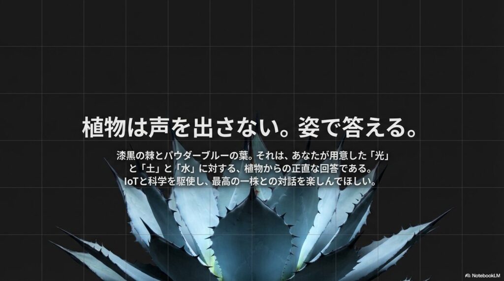 まとめ：アガベブラックアンドブルー育成法と増やし方