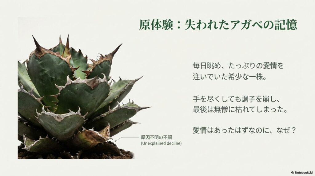 きっかけ:失われたアガベが教えてくれた「感覚の限界」