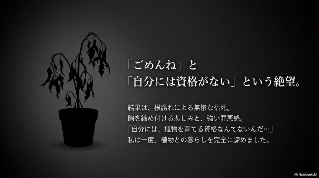 アガベを枯らしてしまった罪悪感