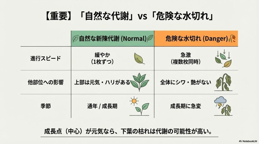 アガベの下葉が枯れる際の自然な新陳代謝と危険な水切れの違いをまとめた比較表