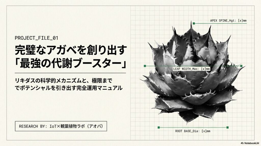 アガベ・チタノタの理想的なボール状フォルムと各部位のサイズ測定