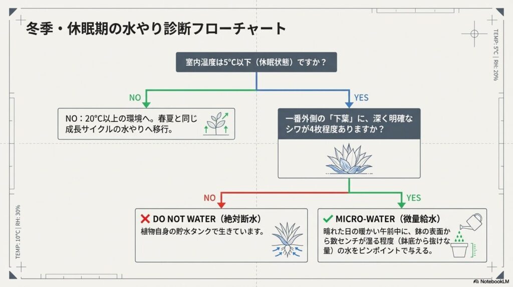 室内温度と下葉のシワの有無で判断するアガベ雷神の冬期・休眠期の水やり診断フローチャート