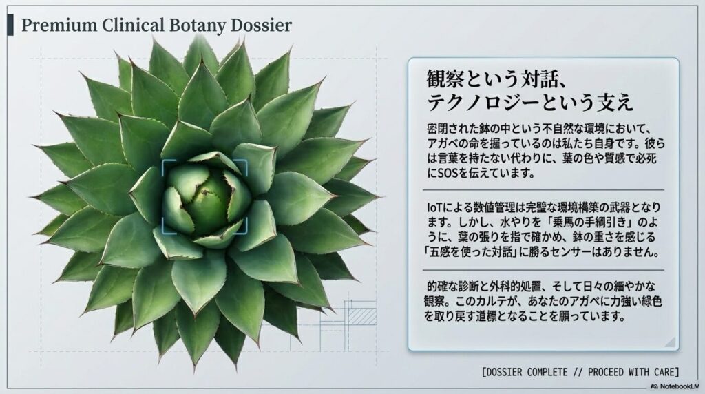 健康で力強い緑色を取り戻したアガベのロゼット。観察とテクノロジーの融合のイメージ。