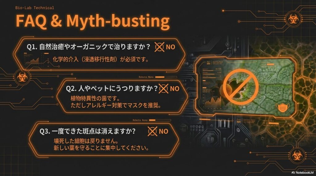 アガベのさび病に関する自然治癒の可否、人体への影響、斑点が消えるかどうかについてのFAQ