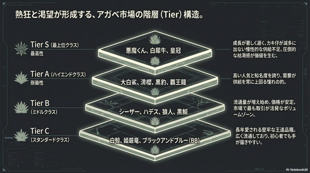 アガベ・ネームド品種の需要と供給に基づく最新の市場階層（Tier）表