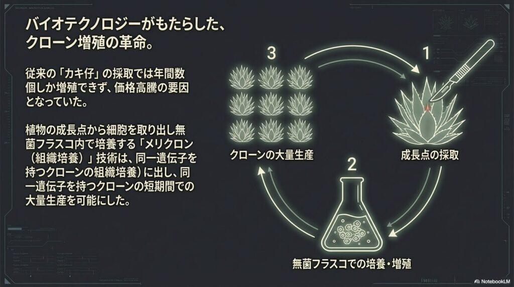 植物の成長点から無菌フラスコ内で大量増殖させるメリクロン（組織培養）技術の仕組み