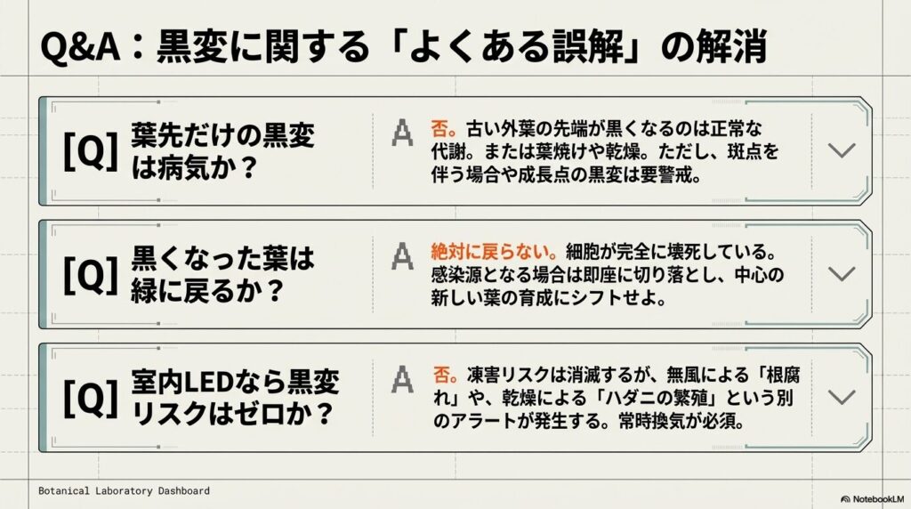 アガベの葉先だけの黒変や、一度黒くなった葉の回復、室内LED栽培におけるリスクに関するQ&A集
