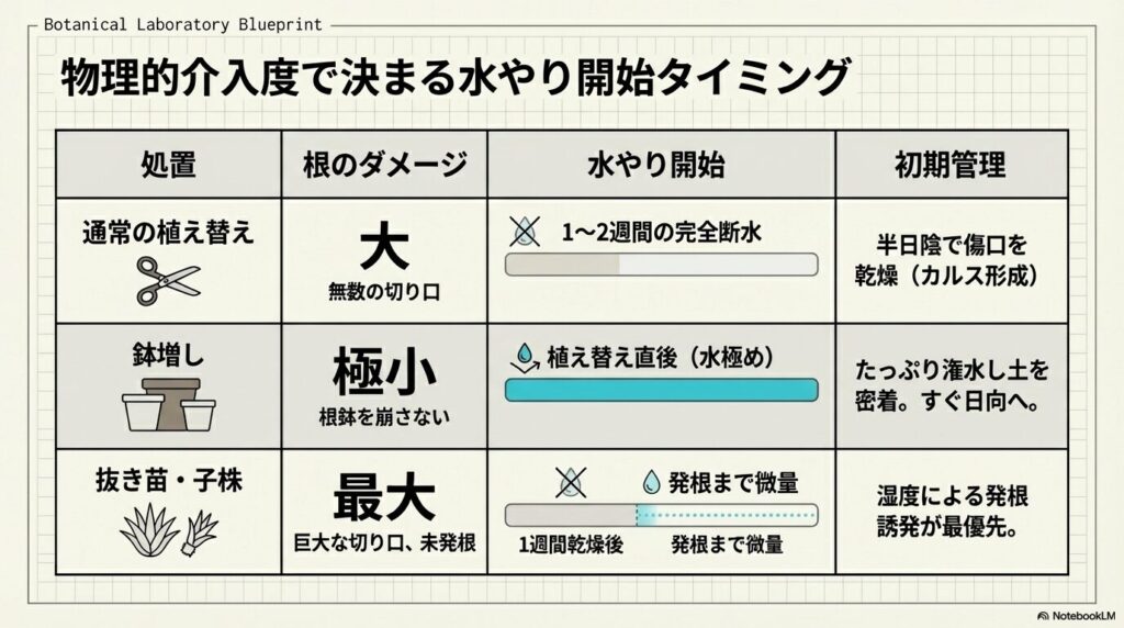 通常の植え替え、鉢増し、抜き苗などの手法に応じた水やり開始の最適タイミングをまとめた一覧表