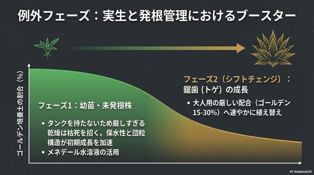 アガベの実生や未発根株におけるゴールデン培養土の割合と成長フェーズの移行