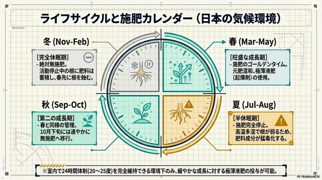 日本の四季の気候に合わせたアガベの成長フェーズと春夏秋冬の施肥カレンダー