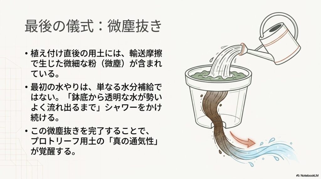 植え替え後の最初の水やりで鉢底から透明な水が流れ出る様子を描いた微塵抜きのイラスト
