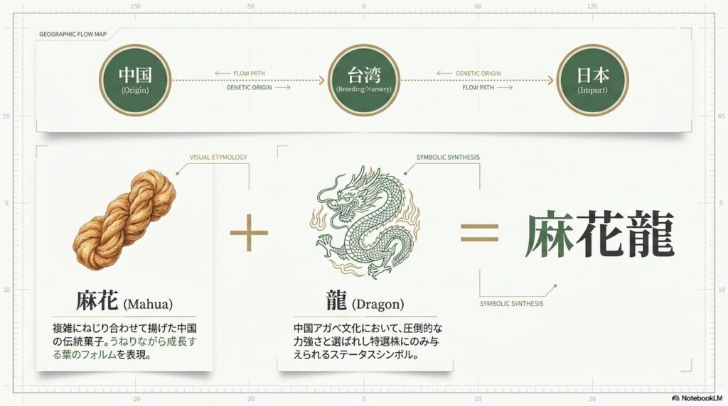 麻花龍の名前の由来。中国の伝統菓子「麻花」とステータスシンボル「龍」の組み合わせ