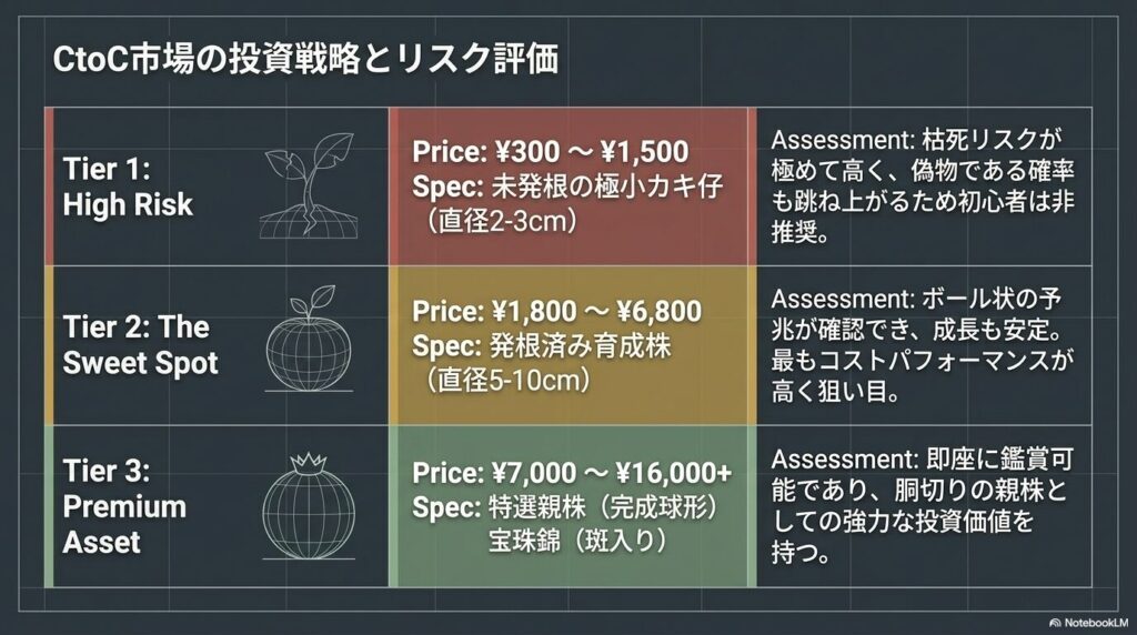 アガベ宝珠の市場価値と投資戦略（子株・育成株・特選親株の評価レイヤー）