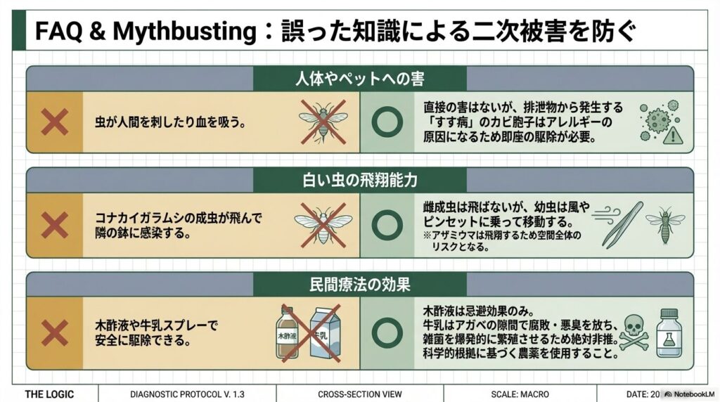 木酢液や牛乳スプレーによるアガベの害虫駆除の否定