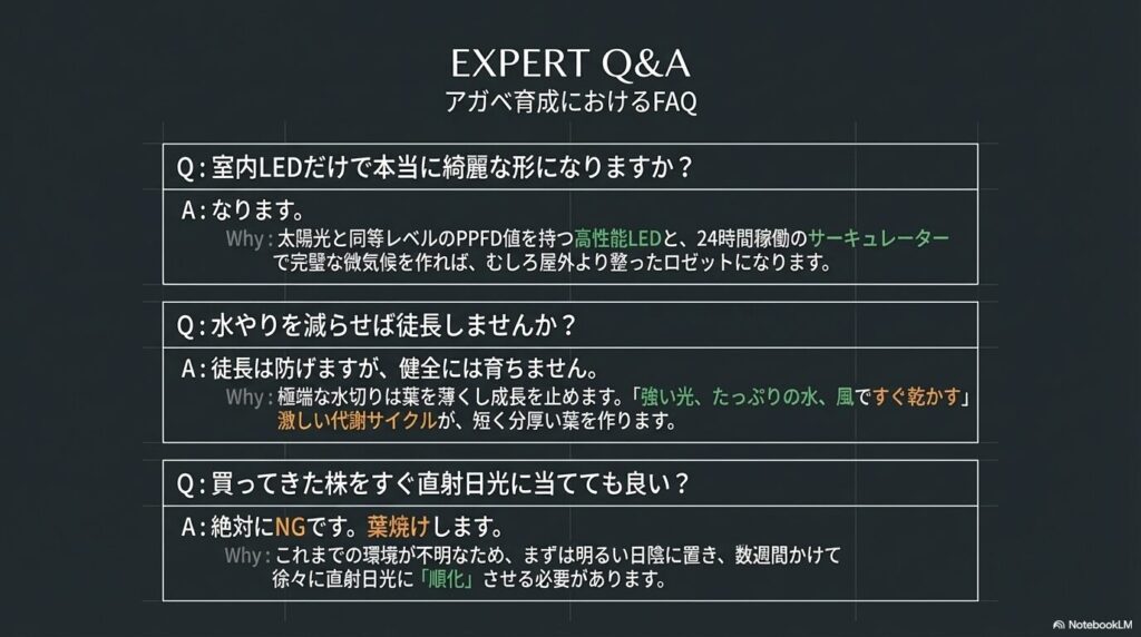 アガベの室内LED育成や葉焼けに関する専門家へのよくある質問集