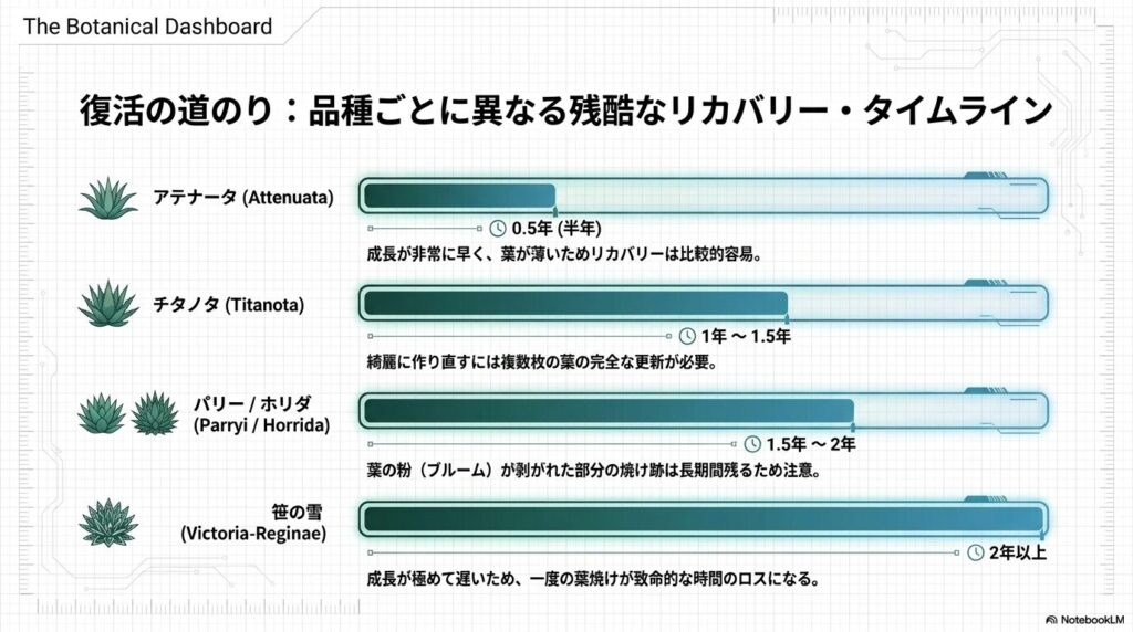 アテナータ（半年）、チタノタ（1から1.5年）、パリーやホリダ（1.5から2年）、笹の雪（2年以上）の復活プロセスにかかる期間を示すプログレスバー