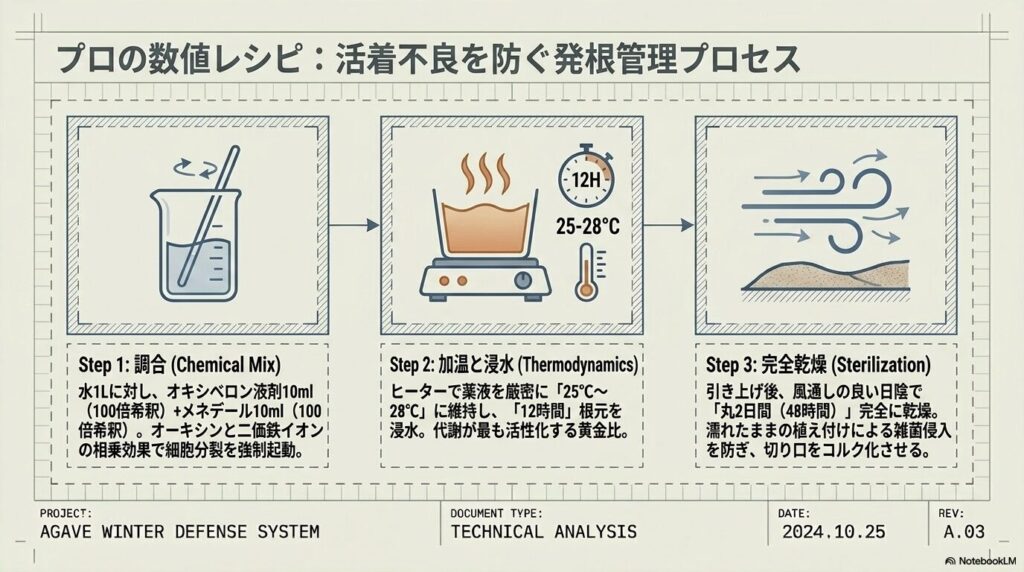 オキシベロンとメネデールを用いた発根管理プロセスの図解。調合、加温浸水、完全乾燥のステップ。