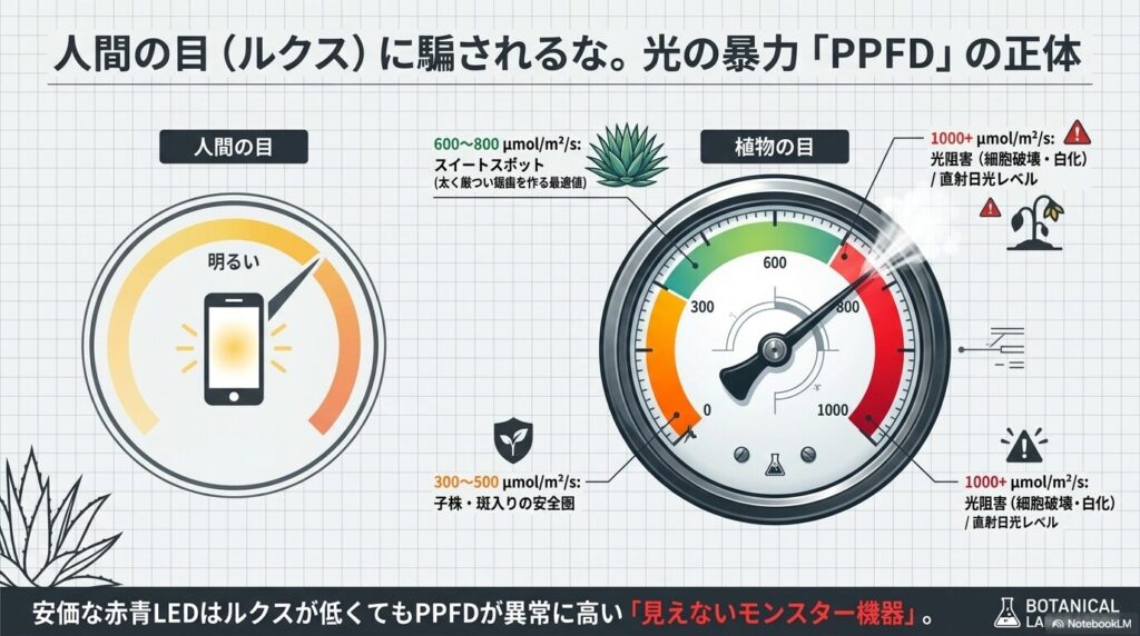 人間の目(ルクス)と植物の目(PPFD)の違いを示すメーター図