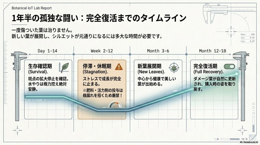 生存確認期から完全復活期までの1年半のタイムライン