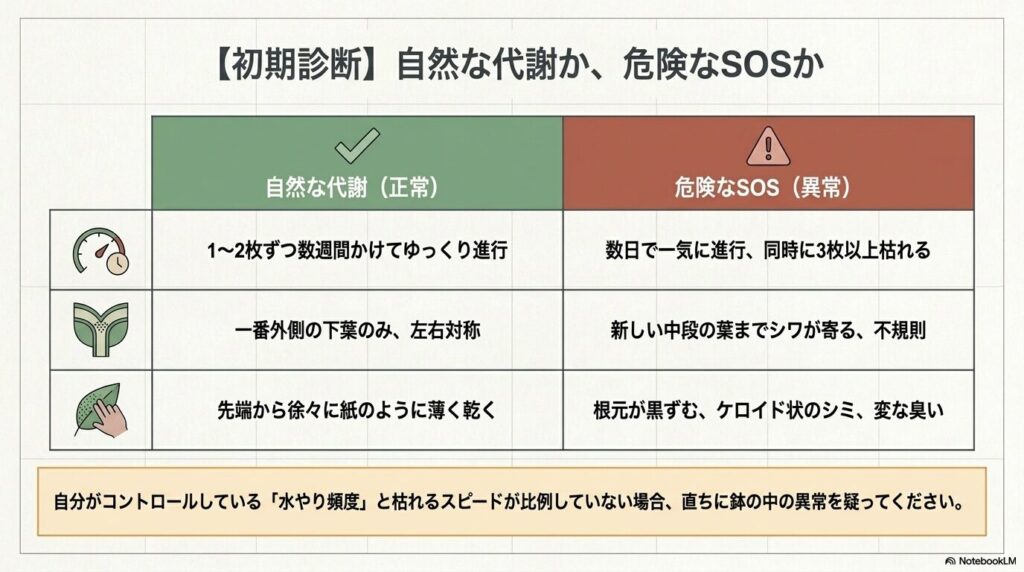 自然な代謝と危険なSOSサインを見分けるための初期診断表。枯れの進行スピードや枯れ方の特徴を比較している。